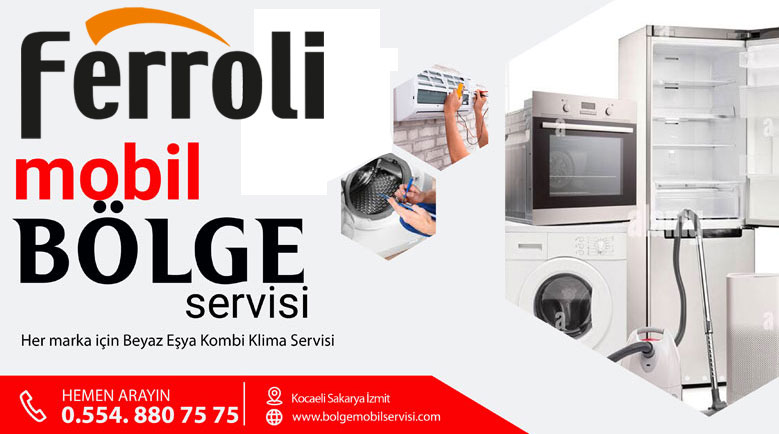 Kocaeli Ferroli Kombi Demontajı